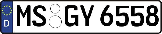 MS-GY6558