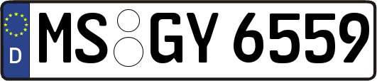 MS-GY6559