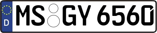MS-GY6560