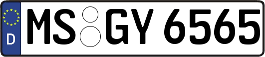 MS-GY6565