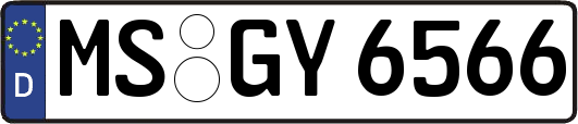 MS-GY6566