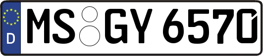 MS-GY6570