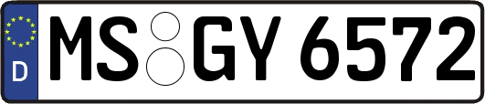 MS-GY6572