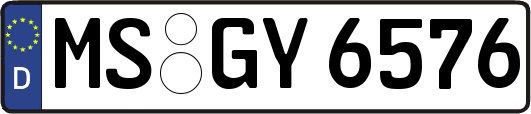 MS-GY6576