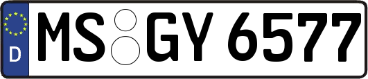 MS-GY6577