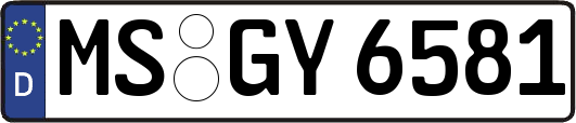 MS-GY6581