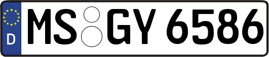 MS-GY6586