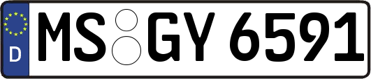 MS-GY6591