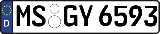 MS-GY6593