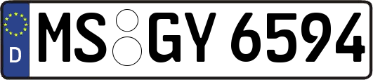 MS-GY6594