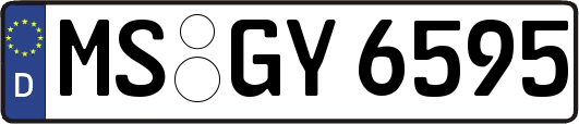 MS-GY6595