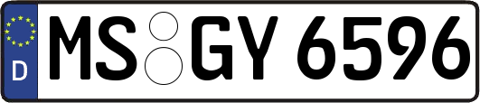 MS-GY6596