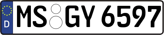 MS-GY6597