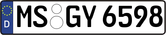 MS-GY6598