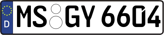 MS-GY6604