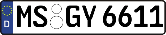 MS-GY6611