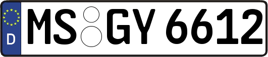 MS-GY6612