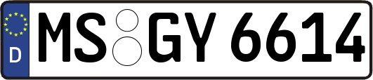 MS-GY6614