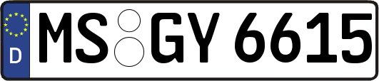 MS-GY6615