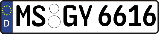 MS-GY6616