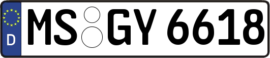 MS-GY6618