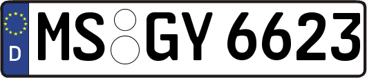 MS-GY6623