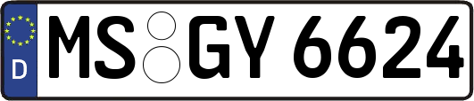 MS-GY6624