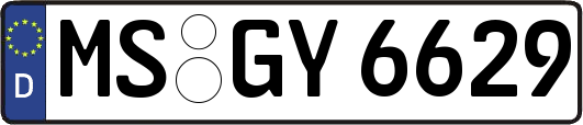 MS-GY6629