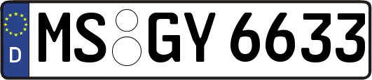 MS-GY6633