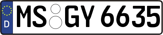 MS-GY6635