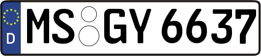 MS-GY6637