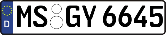 MS-GY6645