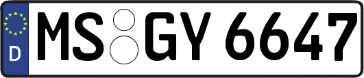 MS-GY6647