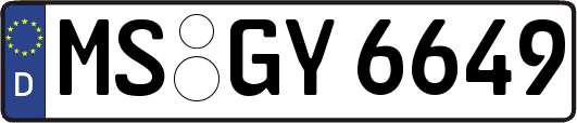 MS-GY6649