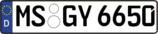 MS-GY6650