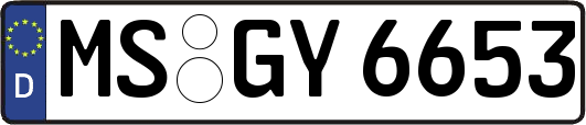 MS-GY6653