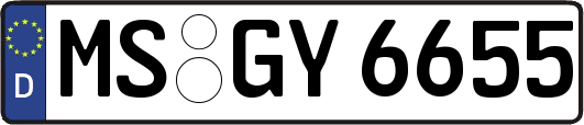 MS-GY6655
