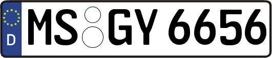 MS-GY6656