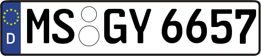 MS-GY6657