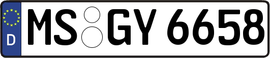 MS-GY6658