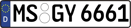 MS-GY6661