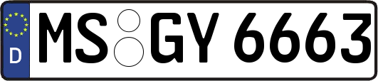 MS-GY6663