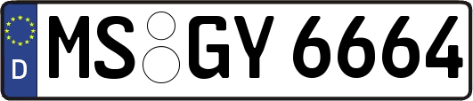 MS-GY6664