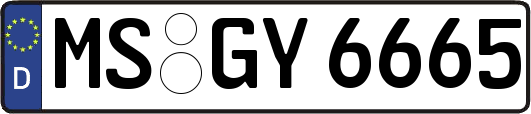 MS-GY6665