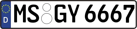 MS-GY6667