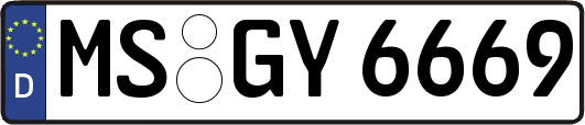 MS-GY6669