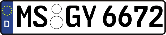 MS-GY6672