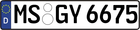 MS-GY6675