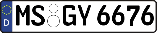 MS-GY6676
