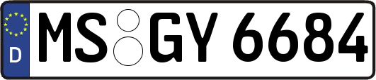 MS-GY6684